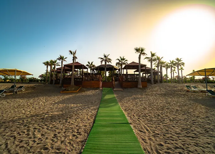 Selectum Colours Side 5* Okurcalar